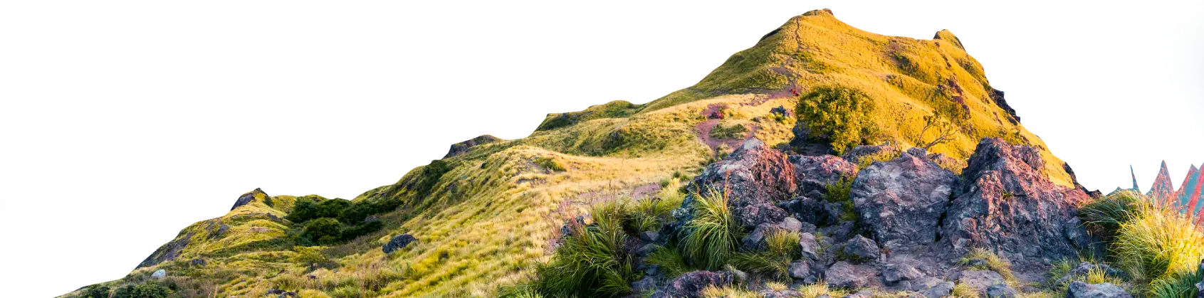 Hero background image