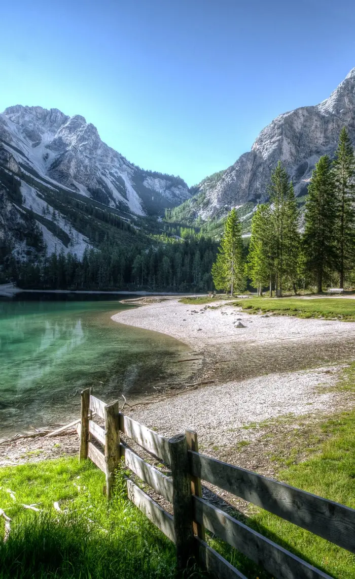 Nature picture