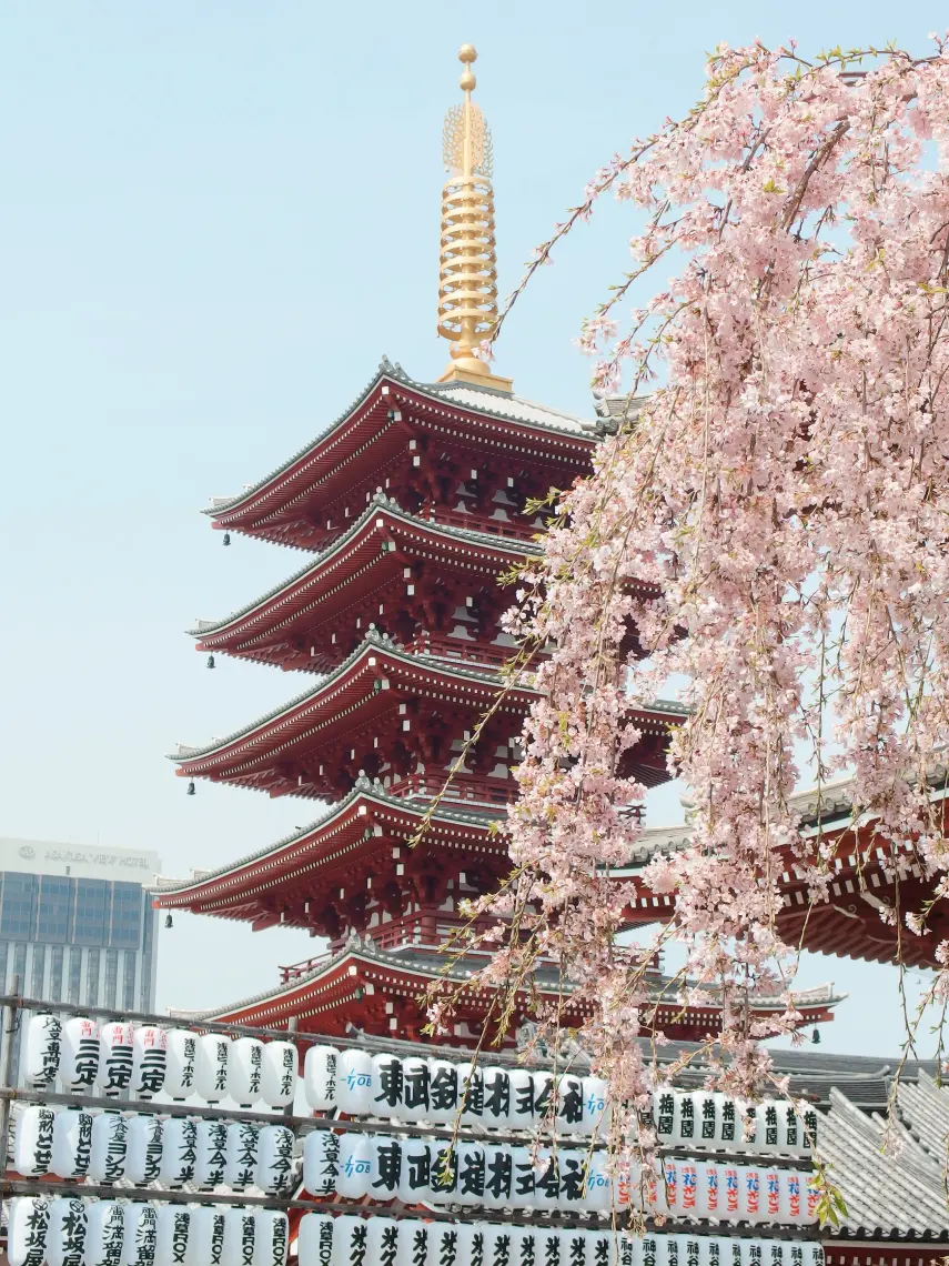 Place photo